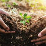 Psicólogos para adolescentes y niños en Madrid