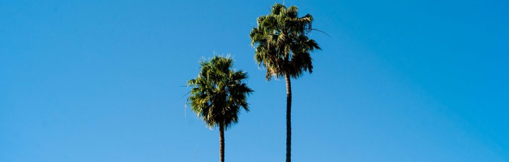Terapia de pareja en madrid